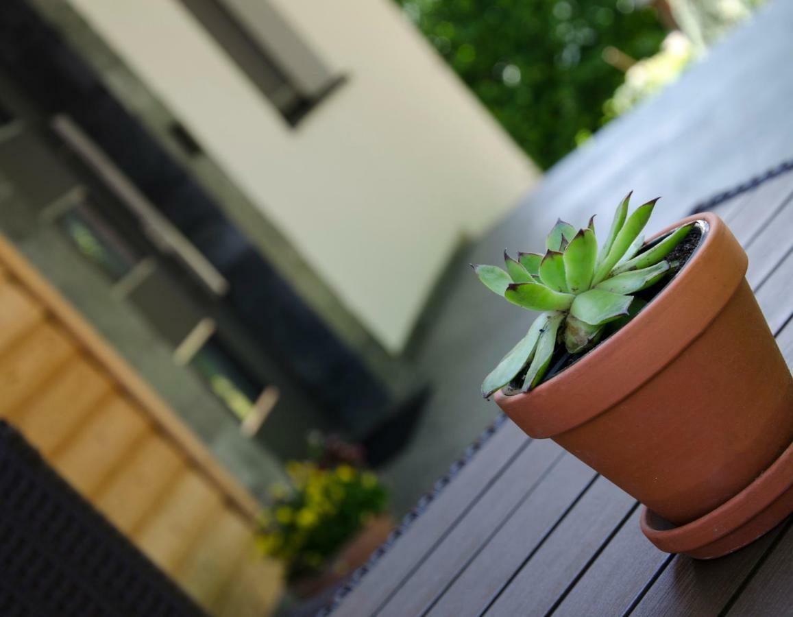 Apartmaji Rajska Ptica ブレッド エクステリア 写真